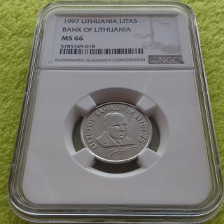 TOP POP "Jurgutis" MS 66